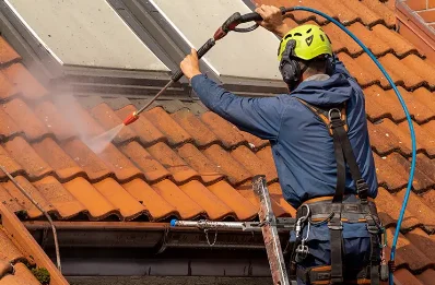 Démoussage et hydrofuge de toiture à Adriers